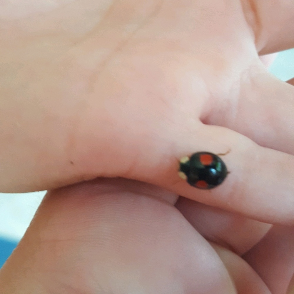 Meet your Posher, Krystal